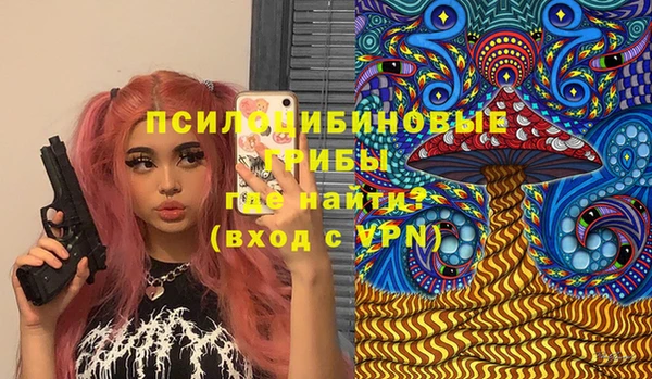 герыч Ельня