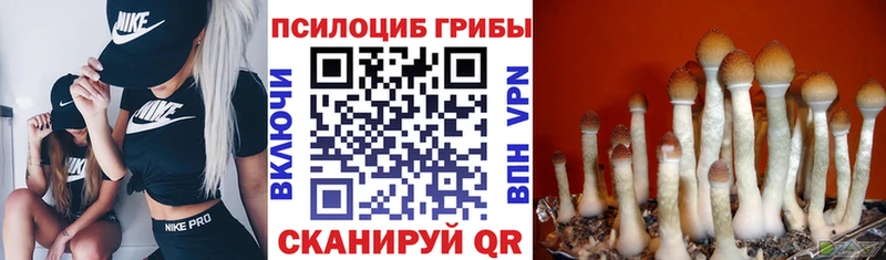 Галлюциногенные грибы Magic Shrooms  закладка  Калачинск 